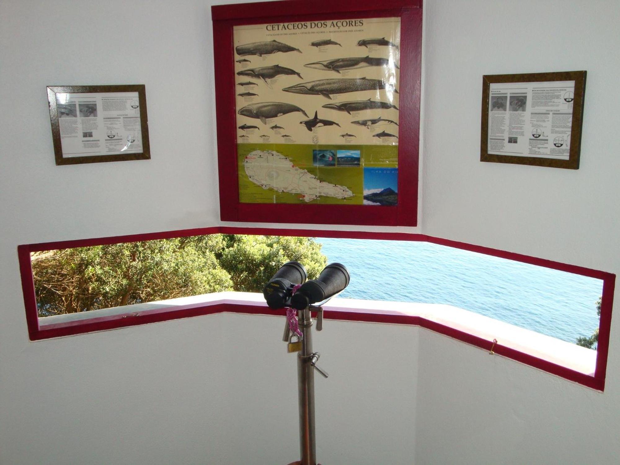לאז'ס דו פיקו Aldeia Da Fonte Hotel מראה חיצוני תמונה